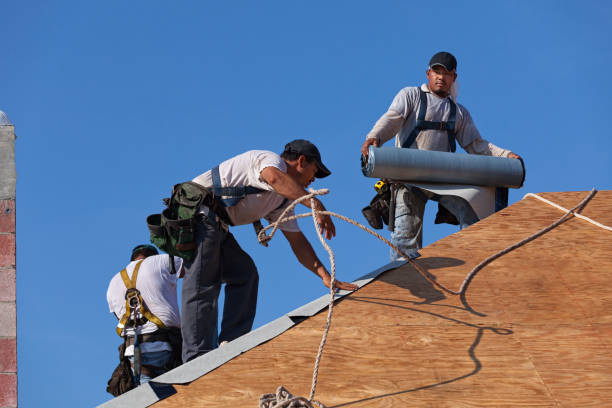 Roof Gutter Cleaning in Scandia, MN