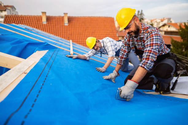 Roof Gutter Cleaning in Scandia, MN