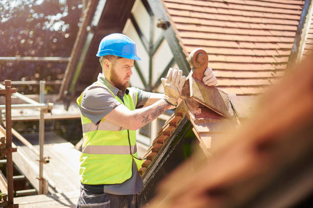 Best Roof Repair Services  in Scandia, MN